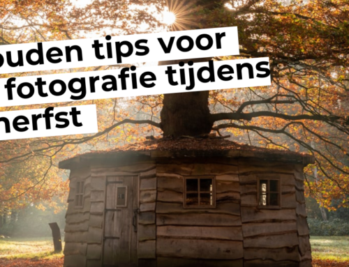 7 gouden tips voor bos fotografie tijdens de herfst 