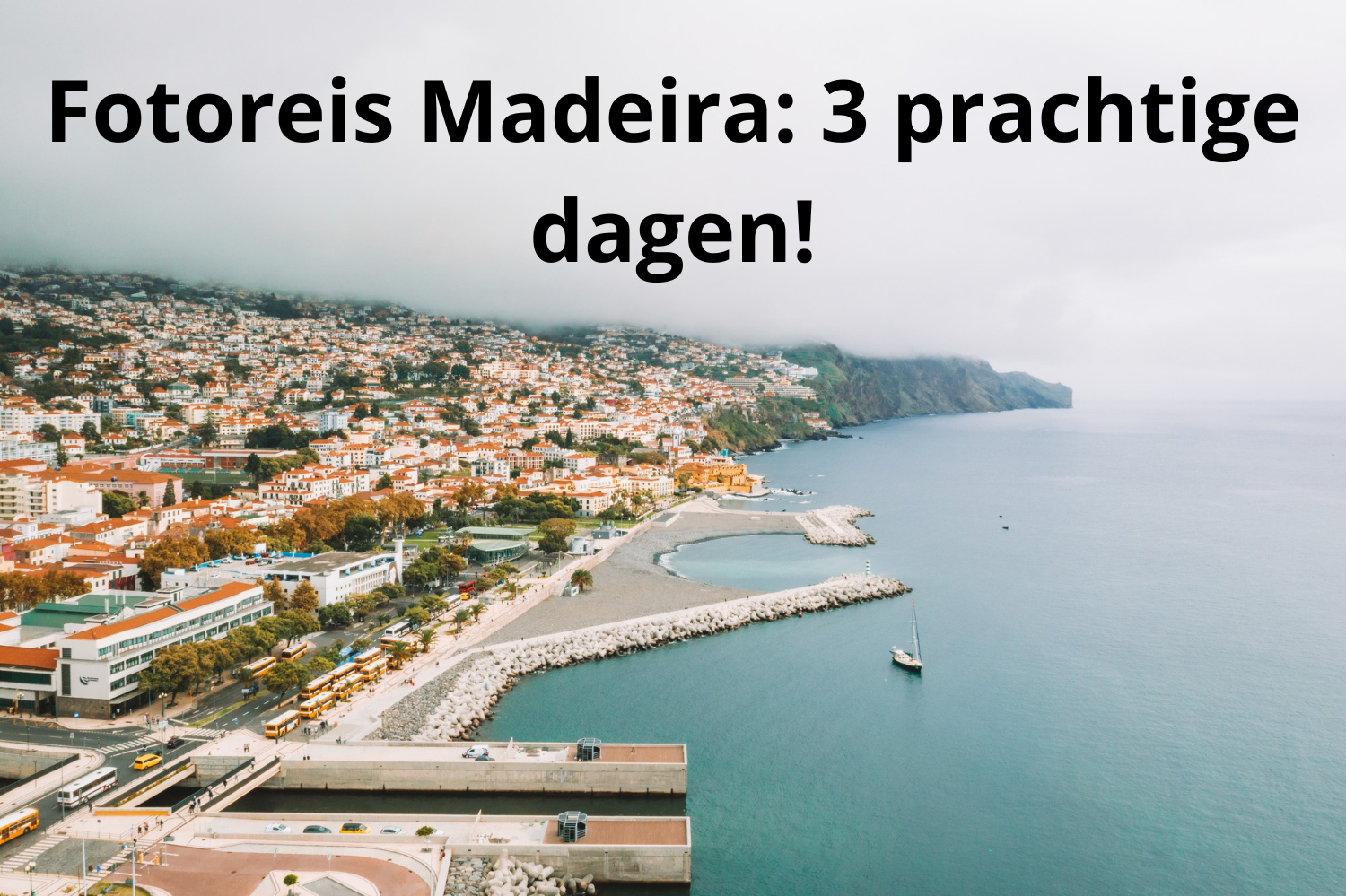 Madeira-Jonker Photography